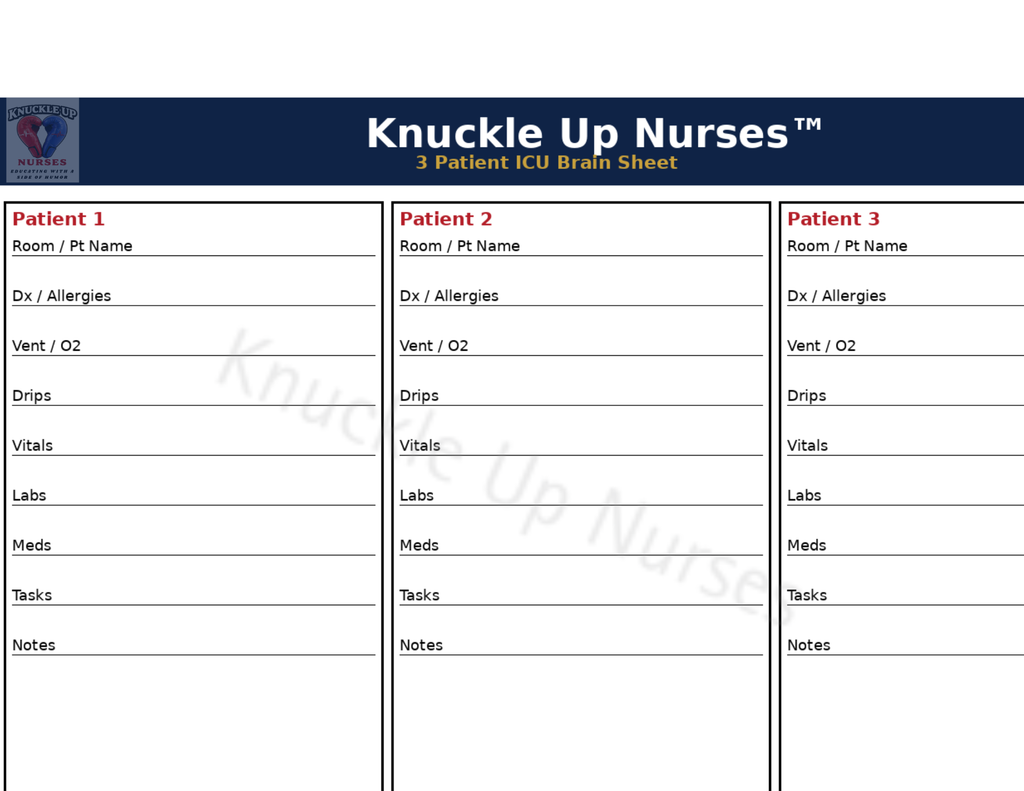 Ultimate Nurse Brain Sheets Bundle | Stay Organized on Shift – DIGITAL DOWNLOAD (Printable Wall Art)